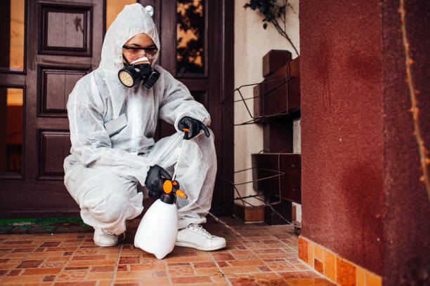 Attic and Crawl Space Rodent Treatment in Dillingham